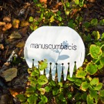 Manuscumbasis - en hopfällbar bärplockare